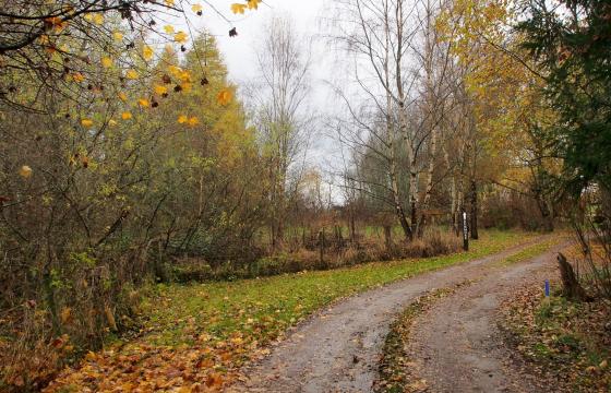 Plot with PP for sale in Kirkhill photo